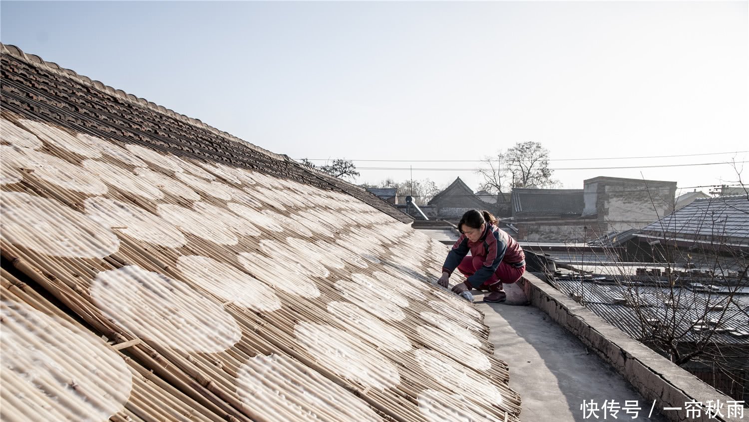 大爷八百块钱起家做粉皮,如今年销万斤供不应