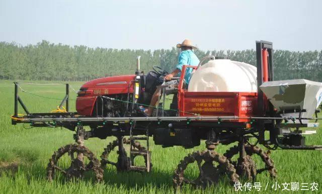 在乡村田间,竟然看到这个大怪物,相信很多人都是第一次见!!