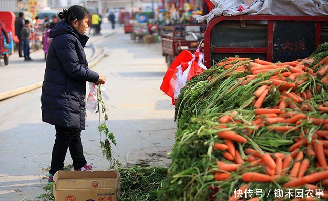 占全年蔬菜量5成的“烂菜叶”,可以这样做,变废为宝还能挣钱 御匾会棋牌官网
