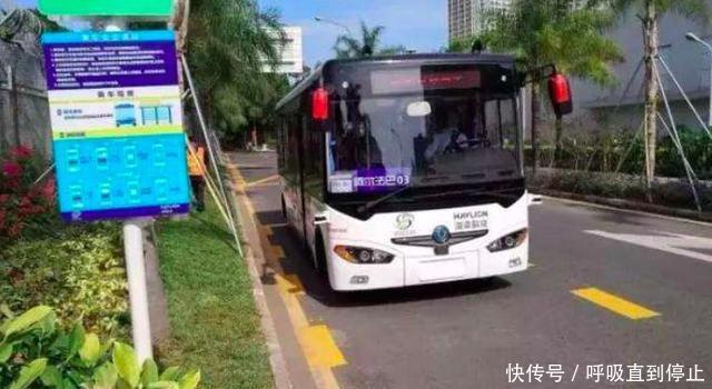 再见,驾驶证上海率先开始实施,还没考驾照的