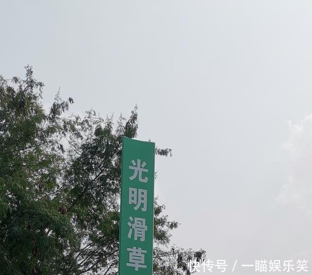 广东深圳市光明新区农场大观园和百花谷