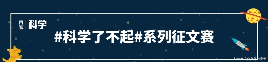 豇豆煮稀饭夏天常吃,“石豇豆”用来做什么?价值珍贵看到要珍惜 金百利国际娱乐