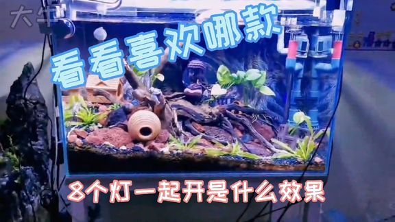 莘縣城南水族館（莘縣城南水族館電話） 全國水族館企業(yè)名錄