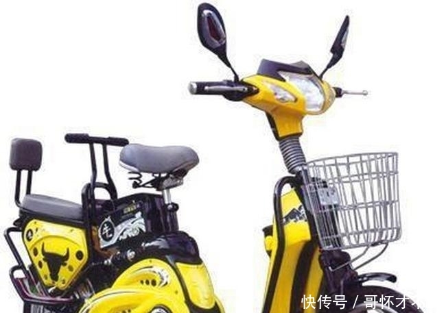 啥子牌子的电瓶车好