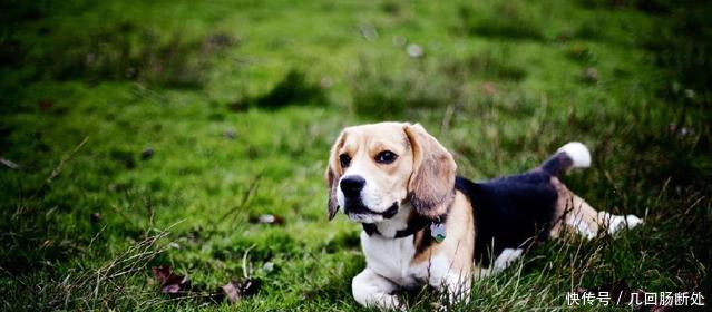 忽必烈当上皇帝后,从不碰的一样东西,现在很多