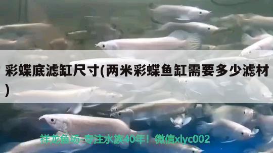 哈市魚缸批發(fā)市場地址在哪兒呀（哈市魚缸批發(fā)市場地址在哪兒呀電話） 量子養(yǎng)魚技術(shù)