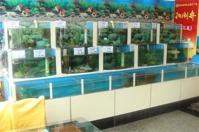 開(kāi)封市太平洋水族店（開(kāi)封市太平洋水族店地址）