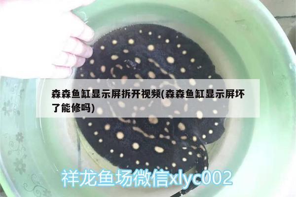 伊罕过滤桶过滤不干净怎么办（伊罕过滤桶过滤不干净怎么办呢）