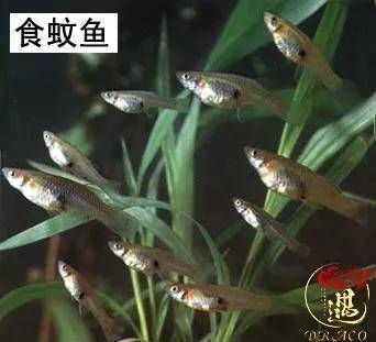 南寧市老街億水族店（南寧老水街美食城）