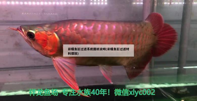 南寧二手魚(yú)缸回收電話地址（南寧二手魚(yú)缸回收電話地址及電話）