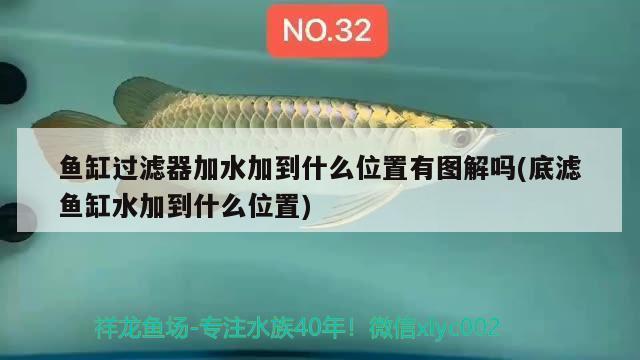 一米的魚缸適合養(yǎng)多少小魚呢（一米的魚缸適合養(yǎng)多少小魚呢圖片） 魚缸百科