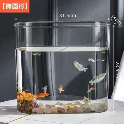 加熱棒魚缸品牌(加熱棒魚缸品牌推薦) 虎斑恐龍魚