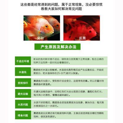 輝縣市二十陸度魚缸廠 全國水族館企業(yè)名錄