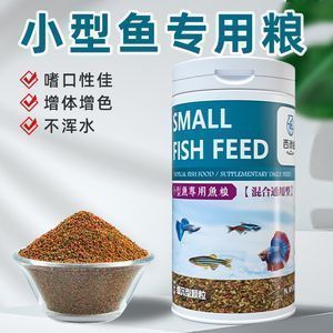 簡單的魚缸過濾器怎么制作視頻（簡單的魚缸過濾器怎么制作視頻教程） 祥龍水族醫(yī)院