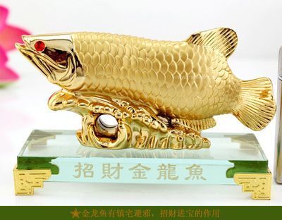 龍魚怎么區(qū)分（龍魚怎么區(qū)分公母圖解）