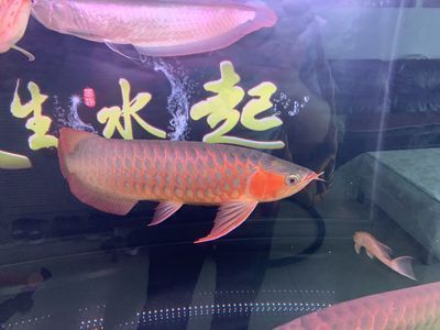 金華市婺城區(qū)晶寶水族館（金華市婺城區(qū)晶寶水族館地址）