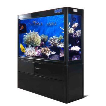 臨清市新華路水族禮品店（臨清市新華路水族禮品店地址）