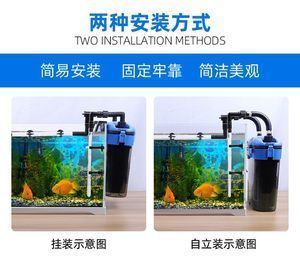 潮州魚缸定制廠家有哪些（潮州魚缸定制廠家有哪些地方）