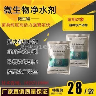 觀賞魚寓意很好的是什么魚品種(什么魚最有觀賞價值) 魚缸風(fēng)水