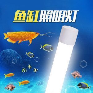 上海市普陀区金创兴水族器材店