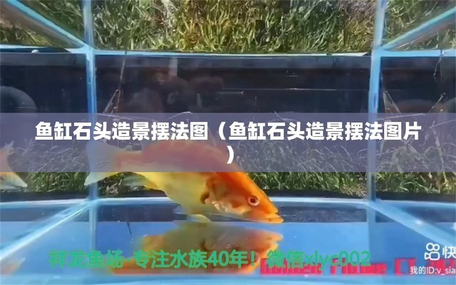 益陽哪里有魚缸賣的（益陽哪里有魚缸賣的地方）