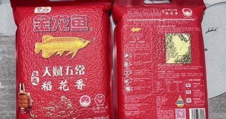 龍魚品牌：龍魚品牌缸