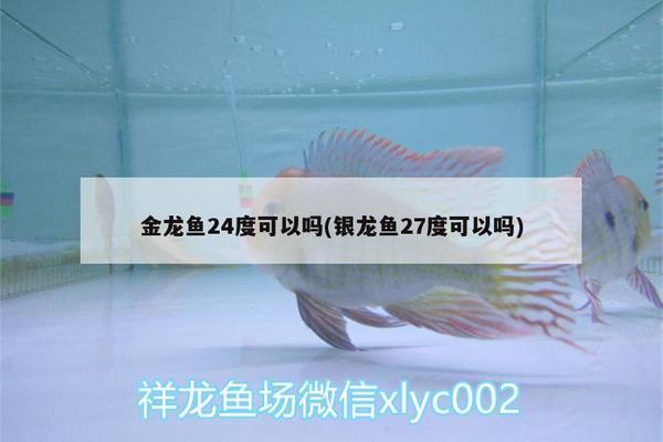 更新求咨詢求解釋