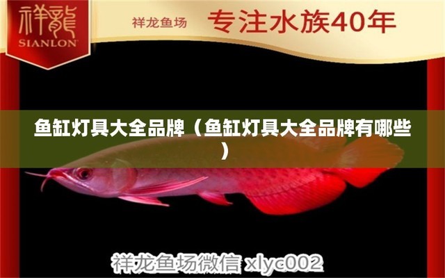 懷化哪里賣魚缸好一點的（懷化哪里賣魚缸好一點的魚） 銀龍魚苗