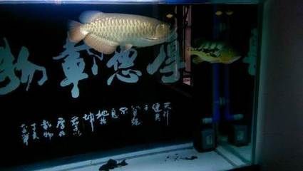 獲嘉哪里有賣魚缸的實體店鋪 