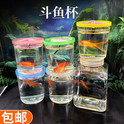 品牌魚缸哪個品牌好用：啥品牌魚缸好