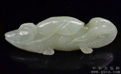 香港觀賞魚(yú)怎么帶回大陸?zhàn)B的呢（香港觀賞魚(yú)怎么帶回大陸?zhàn)B的呢視頻）