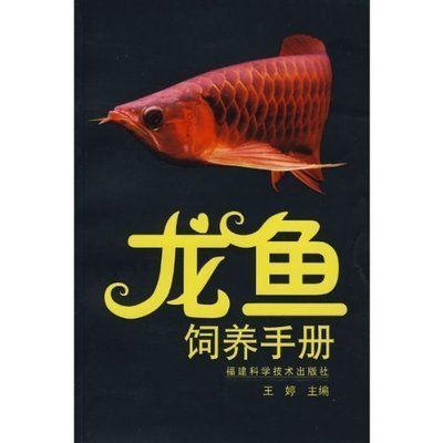 魚缸出水口有氣泡怎么解決視頻