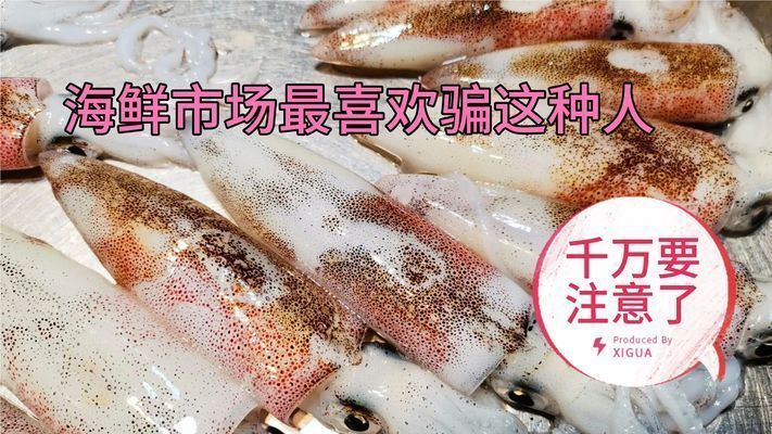 水族展會(huì)2023時(shí)間表圖片（水族展會(huì)2023時(shí)間表圖片大全）