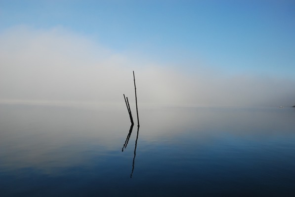 魚(yú)缸過(guò)濾器壞了怎么修理視頻（魚(yú)缸過(guò)濾器壞了怎么修理視頻教程）