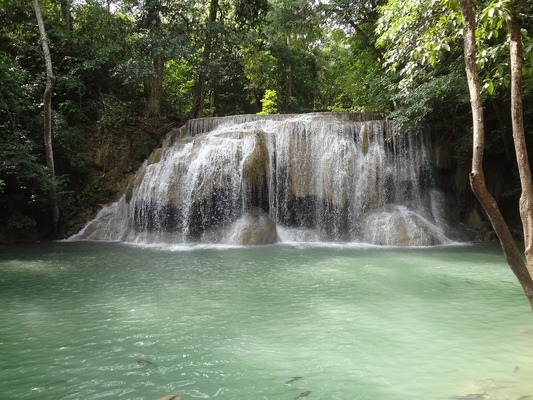 魚缸用的潛水泵,怎么布景（魚缸用的潛水泵,怎么布景才好看） 祥龍水族醫(yī)院