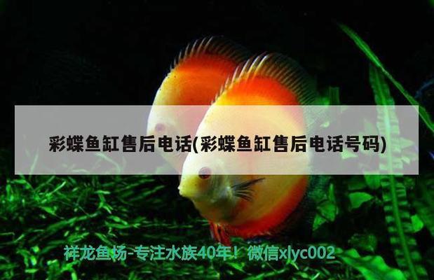 怎么自制魚缸氧氣泵（自制魚缸氧氣泵不用電）