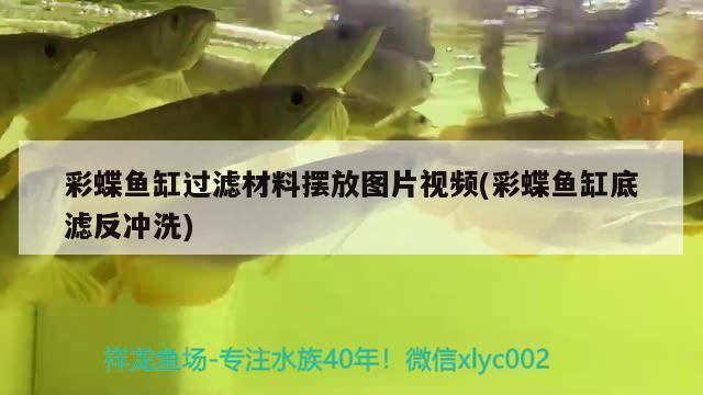 魚缸放在北邊可以嗎（魚缸放在北邊好嗎） 祥龍水族醫(yī)院