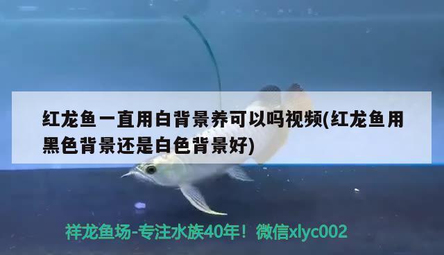 北京回收舊魚(yú)缸的地方在哪里(北京回收舊物)