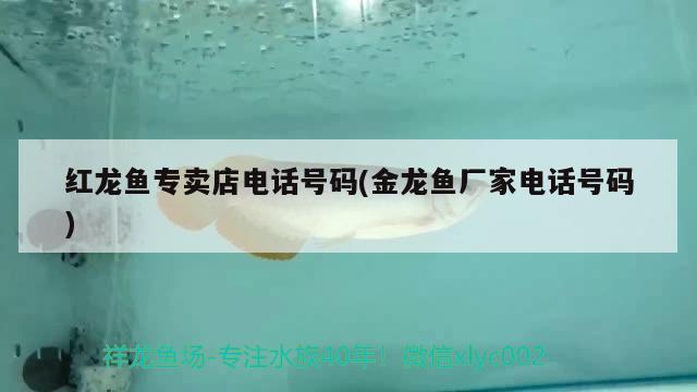 濟寧金龍魚有限公司招聘網(wǎng)（濟寧金龍魚有限公司招聘網(wǎng)站）