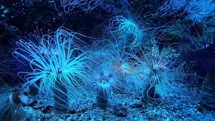 汶上县森森水族馆（汶上县森森水族馆电话）