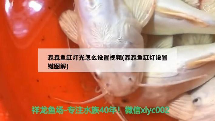 维修鱼缸维修价格贵吗多少钱啊（维修鱼缸维修价格贵吗多少钱啊图片）