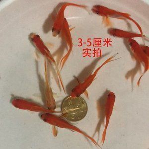 佛山魚缸清洗服務(wù)中心在哪里啊多少錢