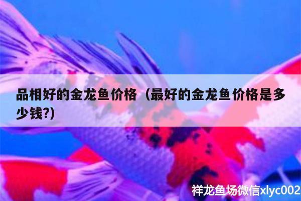 愛唯希魚缸專賣店地址查詢官網(wǎng)（愛唯希魚缸專賣店地址查詢官網(wǎng)電話） iwish愛唯希品牌魚缸