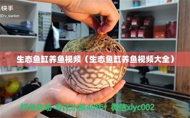 原生態(tài)魚缸用什么燈好（原生態(tài)魚缸用什么燈好看）