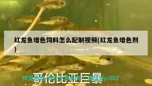 惠州魚缸維修電話多少（惠州魚缸維修電話多少號） 水族問答