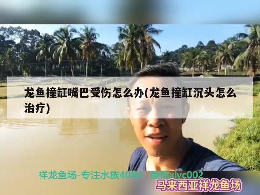 孝感水族批發(fā)市場(chǎng)在哪里啊最近（孝感水產(chǎn)批發(fā)市場(chǎng)在什么位置）