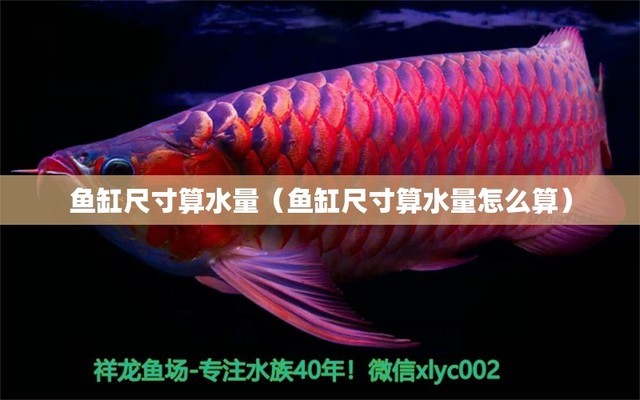 水族展會2022年時間表（水族展會2023年時間表）