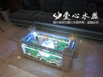 滄州魚缸架子批發(fā)電話多少（滄州魚缸水族市場）