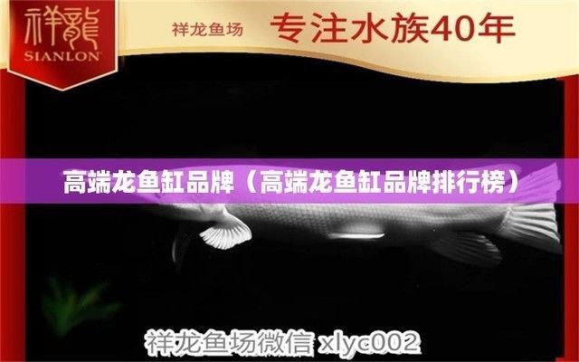 品牌龍魚缸排名前十有哪些：十大龍魚缸品牌推薦 魚缸百科 第3張