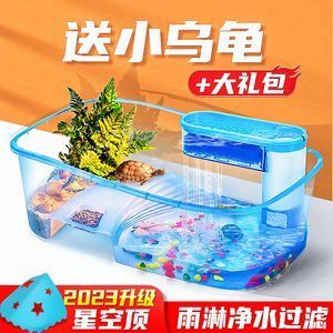 榆林觀賞魚交流群（榆林觀賞魚地址） 廣州觀賞魚批發(fā)市場